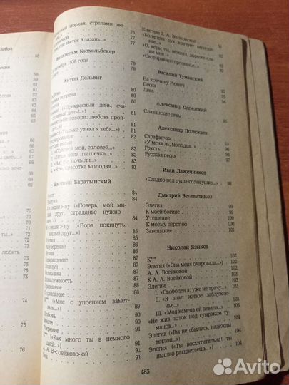 Лирика русских поэтов 19 века