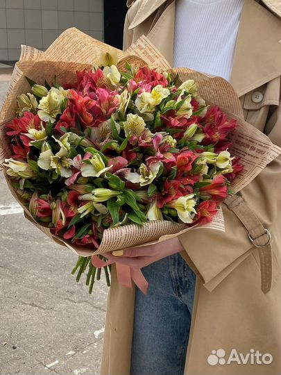 Альстромерия