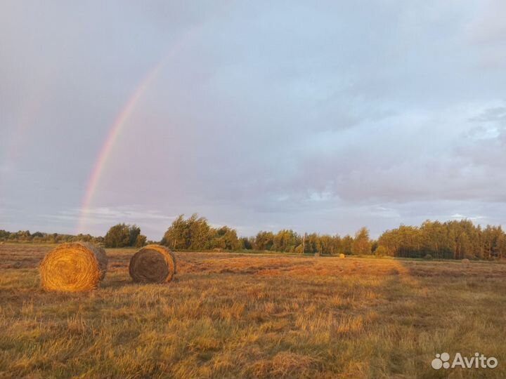 Сено