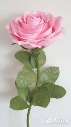 Ростовые цветы и светильники