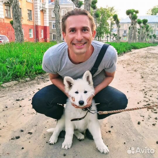 Репетитор по математике 8-11 классы, огэ, егэ