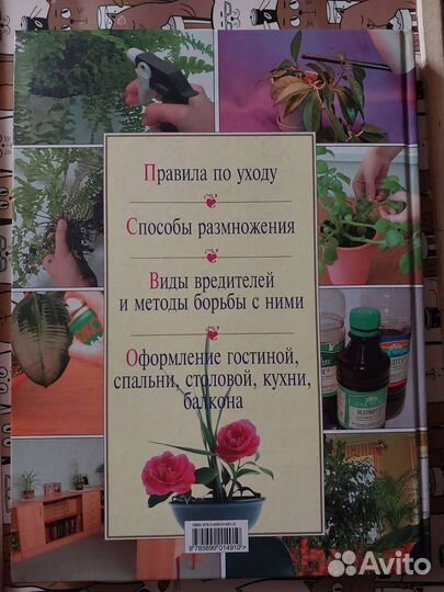 Книга Энциклопедия комнатных растений