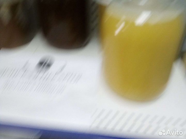 Мед алтайский