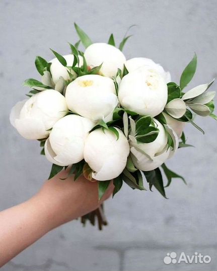 Пионы Цветы Доставка