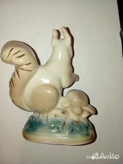 Белочка с грибами