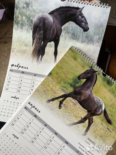 Календарь с лошадьми 2025