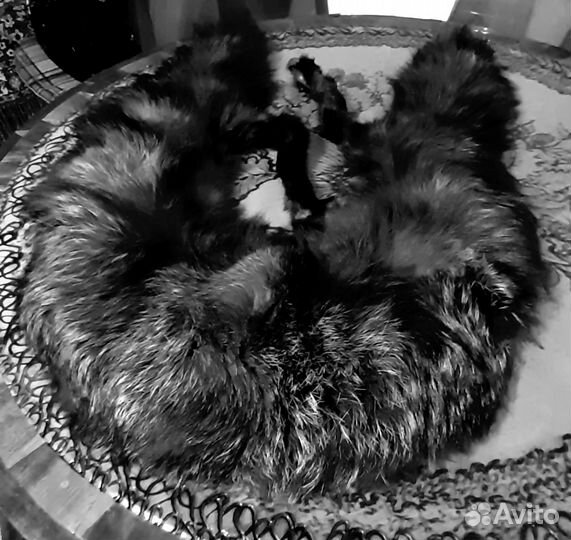 Воротники, шкурки, шубы