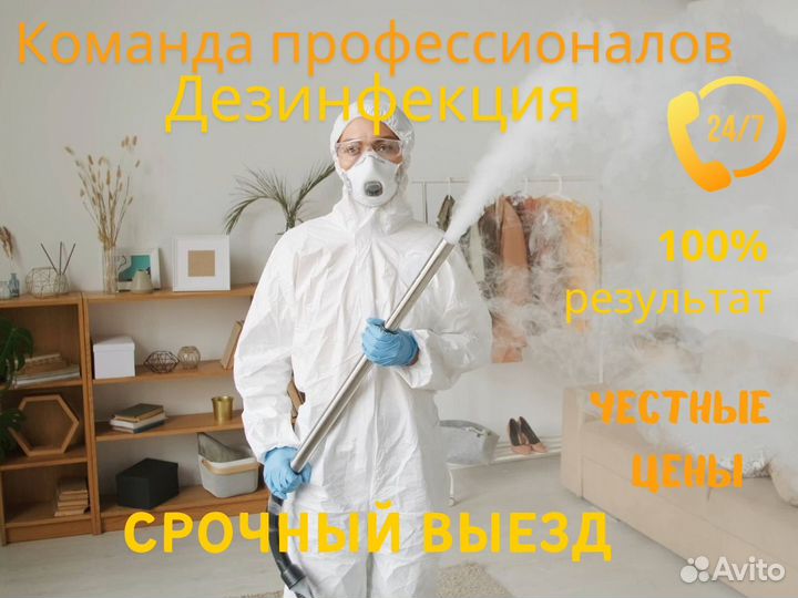 Уничтожение тараканов и клопов дезинфекция