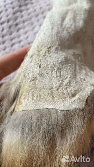 Лисья шкура