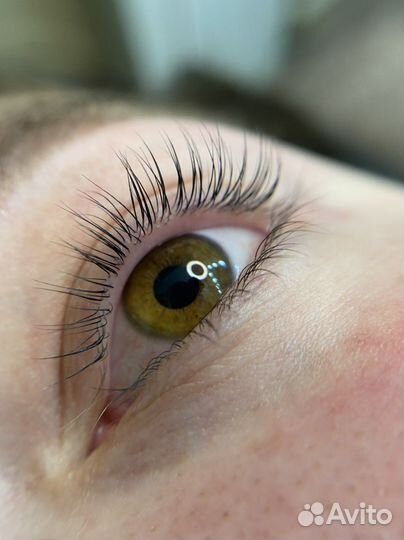 Коррекция бровей /Ламинирование бровей /ресниц