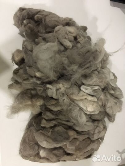 Кошачья шерсть