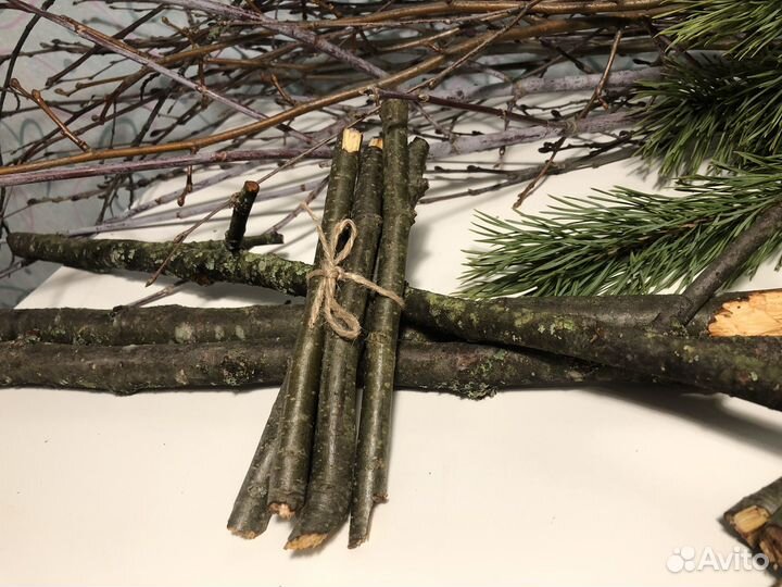 Ветки для животных