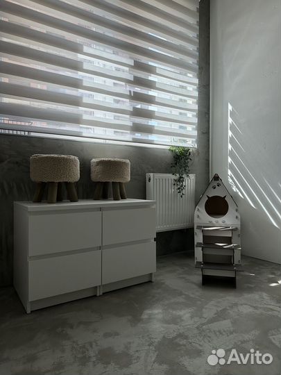 Зоогостиница для собак и кошек