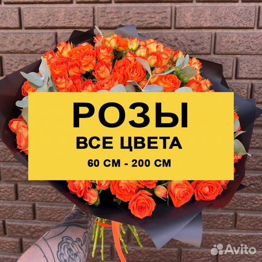 Цветы розы с доставкой 15 25 51 101 501 1001