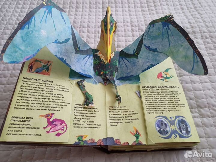 Книга с окошками Энциклопедия древностей Звери