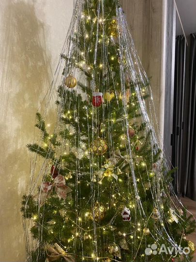 Елка Новогодняя Живая