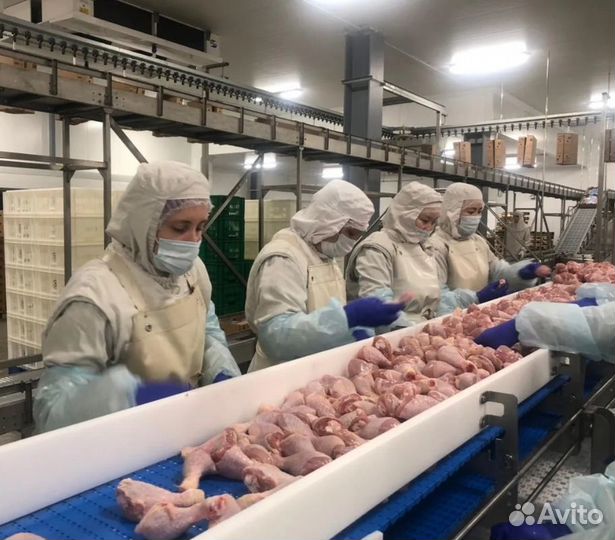 Требуются разнорабочие на птицефабрику
