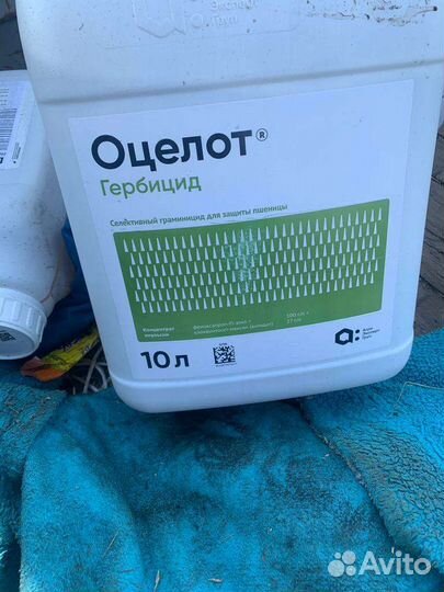 Гербициды на пшеницу