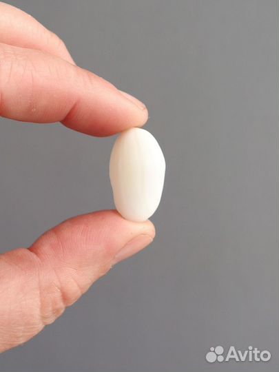 Белые морские натуральные ракушки Бублес