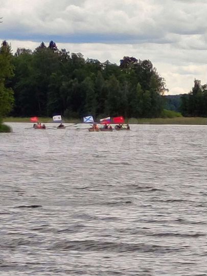 Участок 100 сот. (СНТ, ДНП)