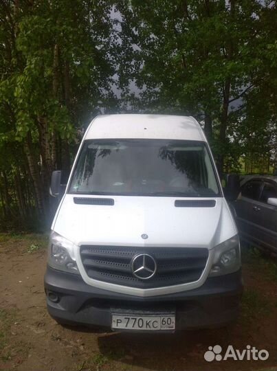 Пассажирские перевозки