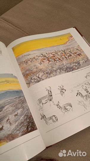 Книга Среди льдов и джунглей. Вадим Горбатов