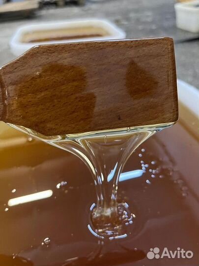 Свежий цветочный мед оптом Качка 2023