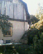 Дача 30 м² на участке 5 сот.