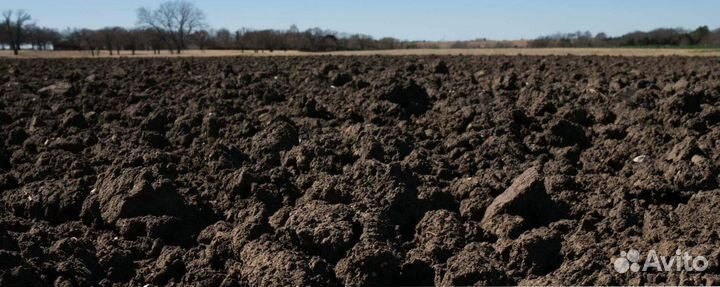 Плодородная почва, земля