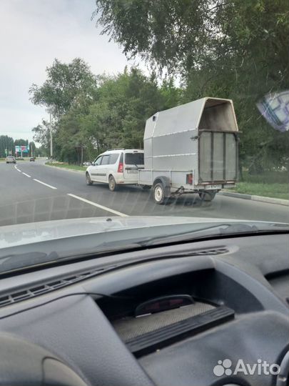 Услуги транспортного средства для животных