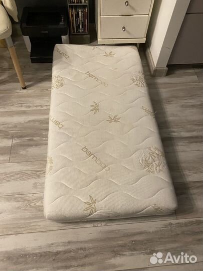 Передержка собаки