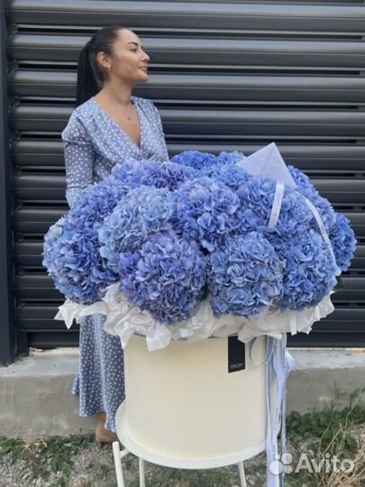 Букет цветы гортензии