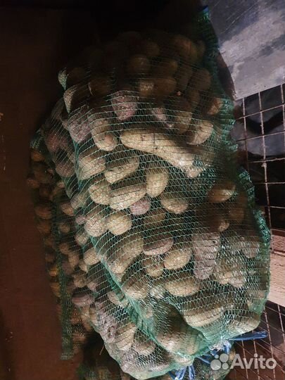 Продам картофель домашний