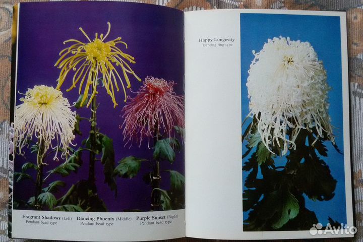 Книги о растениях и животных