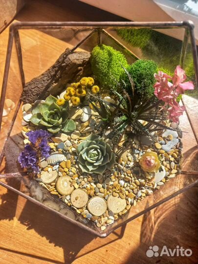 Флорариум/моссариум/подарок/дом