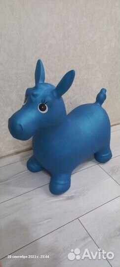 Прыгунок лошадка