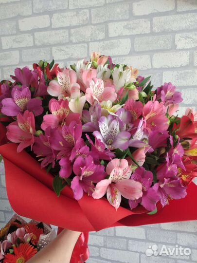 Цветы букет альстромерий