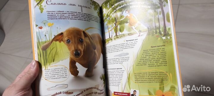 Книга Здоровье щенка