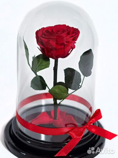 Роза в колбе