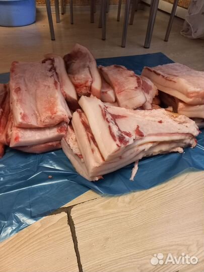 Сало свежее