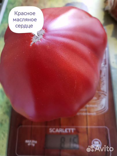 Семена томатов