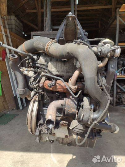 Двигатель Volkswagen Golf 4 (1997 - 2006) 1.9 ALH