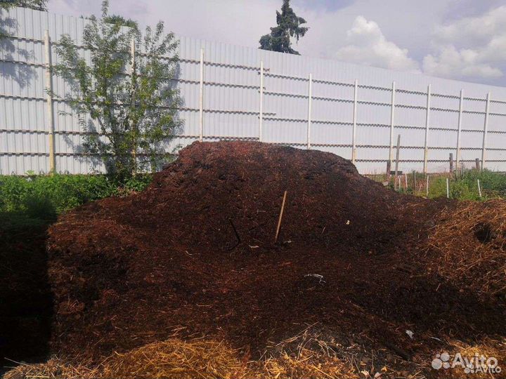 Перегной конский бесплатно