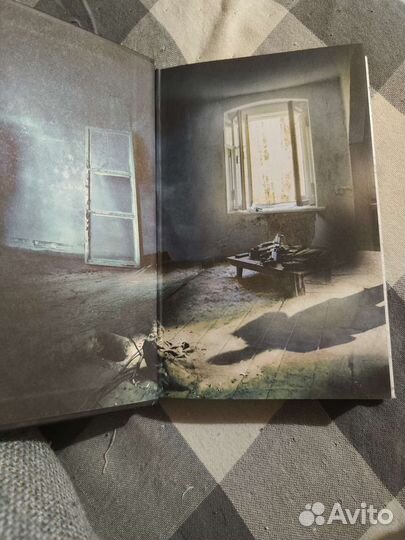 Давид Лагеркранц Девушка, которая