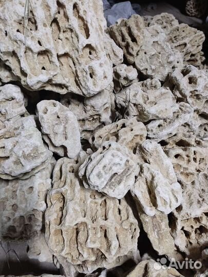 Камень песчаник, миотис для аквариума