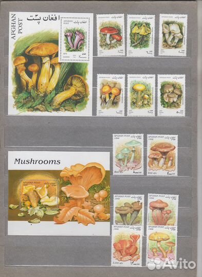 Марки Грибы