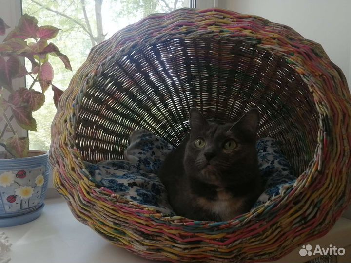 Домик лежанка для кошки