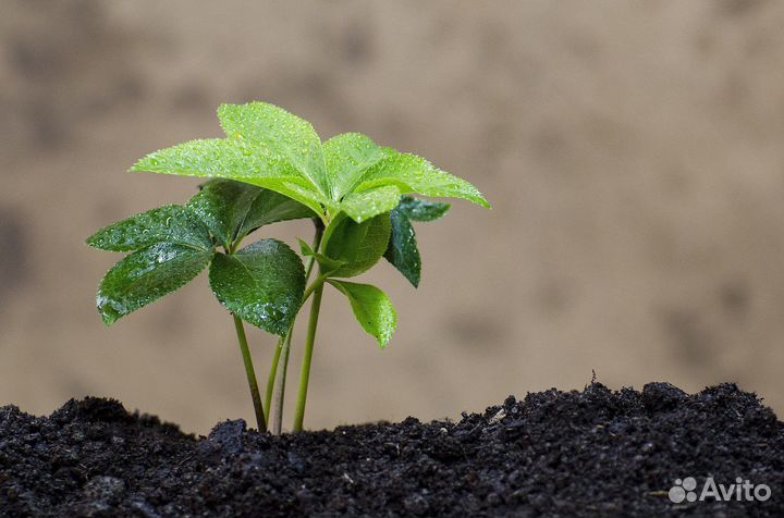 Трехкомпонентный грунт