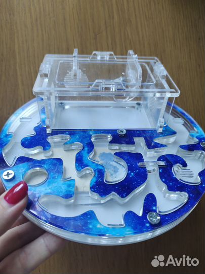 Муравьиная ферма круглая