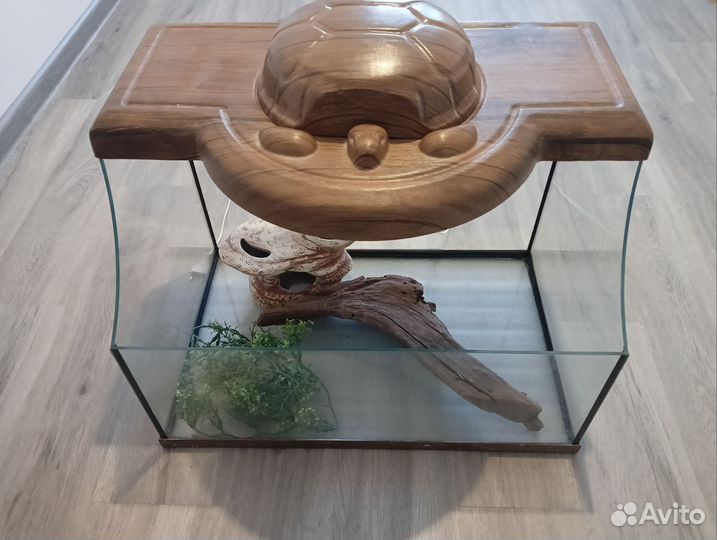 Террариум для рептилий